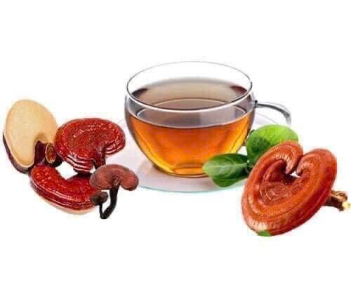 Trà nấm linh chi Hàn Quốc Korea Lingshi Mushroom Tea 