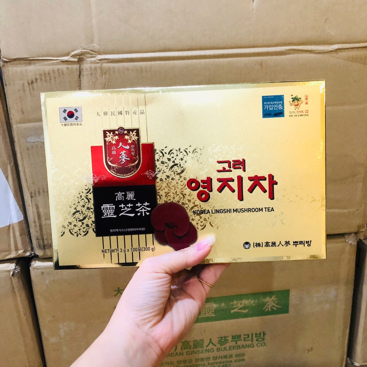 Trà nấm linh chi Hàn Quốc Korea Lingshi Mushroom Tea 